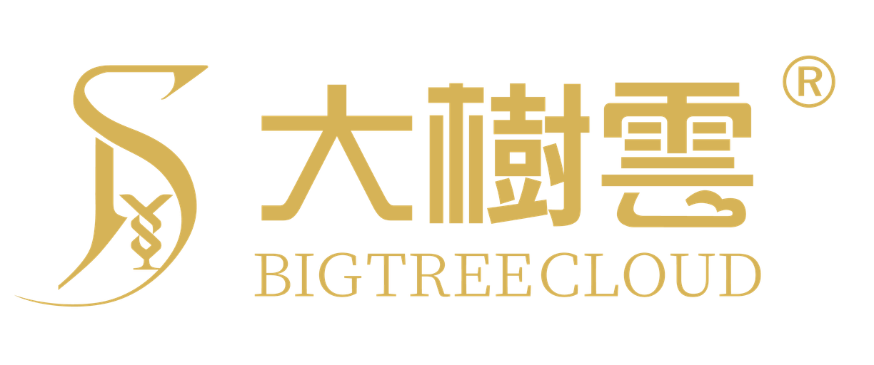 DSY logo