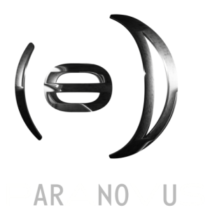 PAVS logo